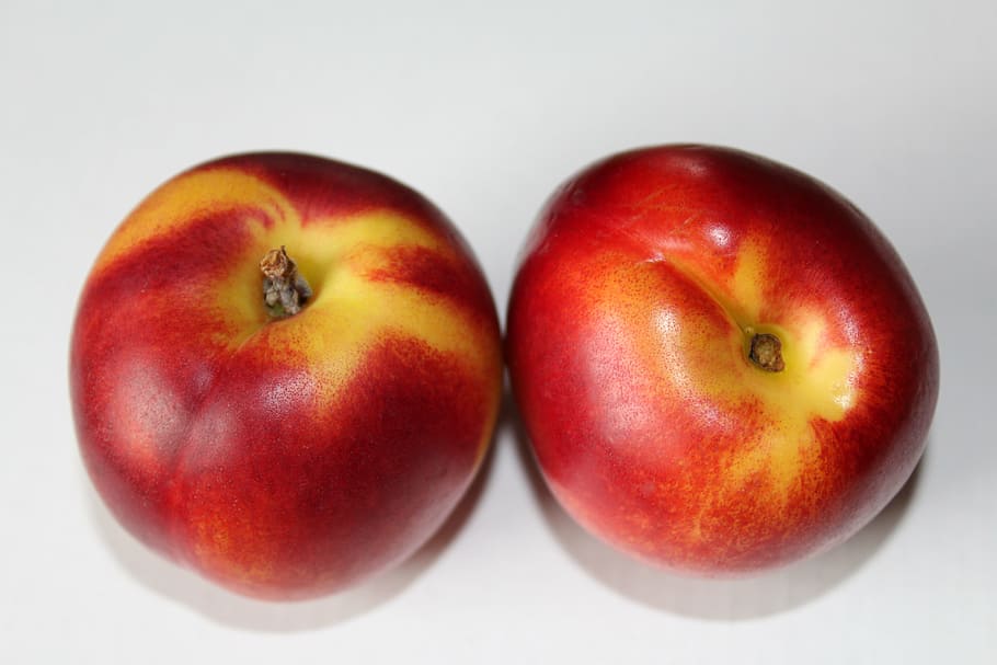 nectarines, fruit, red, studio shot, healthy eating, food and drink HD wallpaper