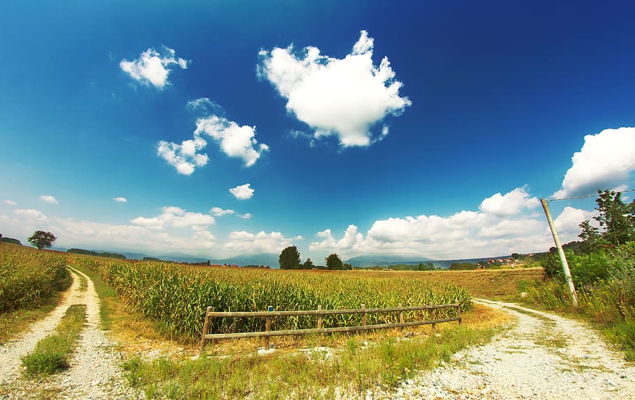 panorama photography of green grass field under white clouds and blue sky at daytime HD wallpaper