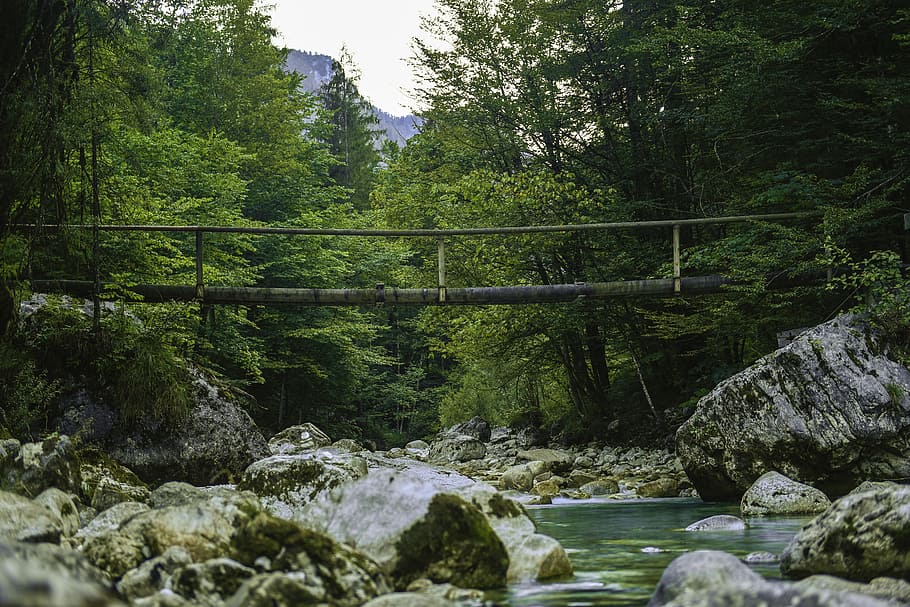 empty wooden bridge above river between forest during daytime HD wallpaper