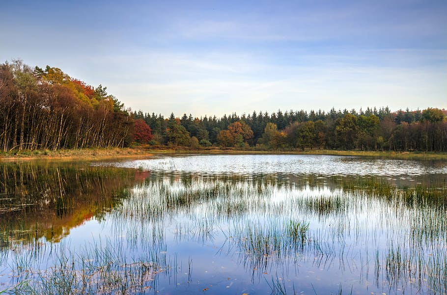 lake, trees, autumn, reflection, nature, landscape, scenic HD wallpaper