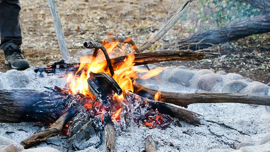 Camp Fire, person poking bonfire, logs, ash, campfire, burning HD wallpaper