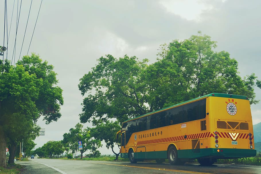 school bus, highway, cloudy day, transportation, mode of transportation HD wallpaper