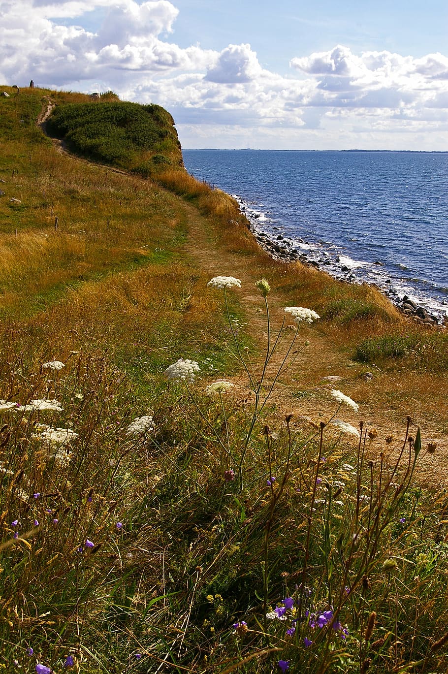 denmark, danish coast, island, fyns hoved, baltic sea, danish baltic, HD wallpaper
