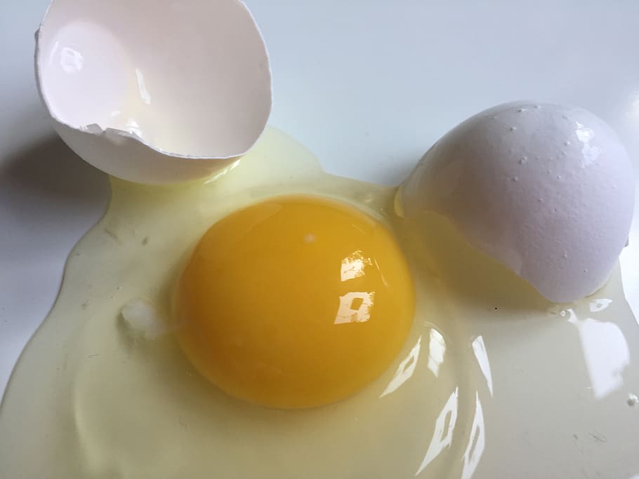 egg, broken egg, white egg, egg yolk, food, healthy eating HD wallpaper