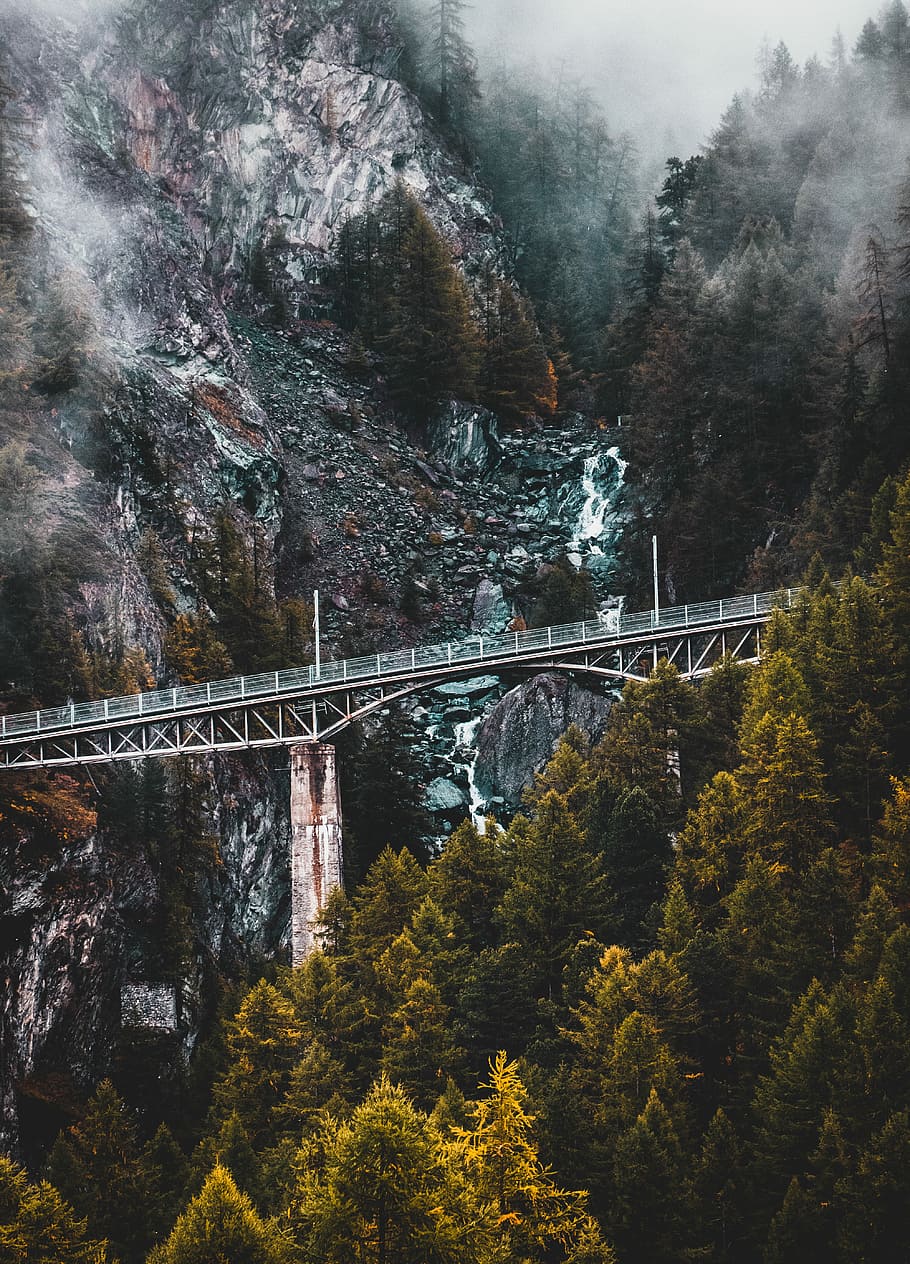 gray suspension bridge near rock formation, landscape photography of mountain surrounded of trees with bridge HD wallpaper