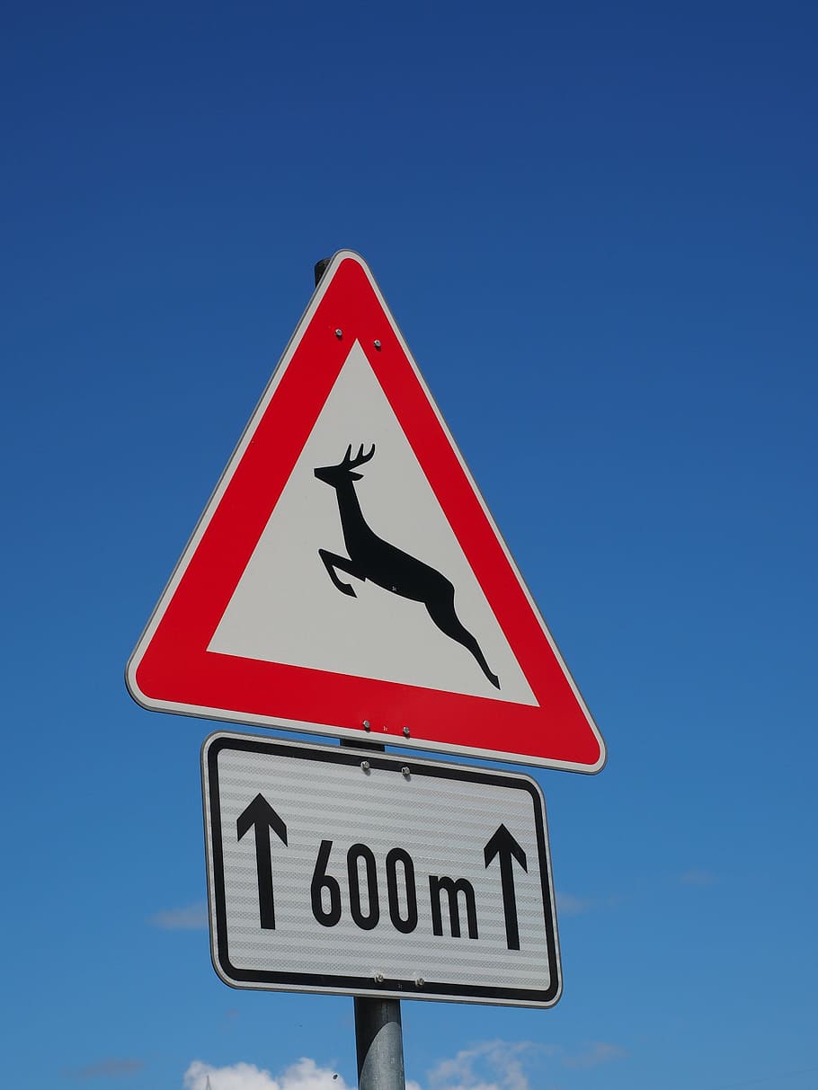 shield, warning, wildwechsel, note, attention, traffic sign HD wallpaper