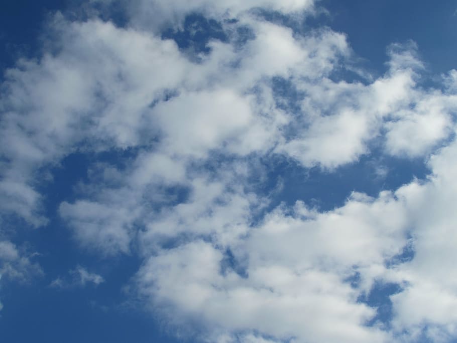clouds, sky, cumulus, summer, cloud - sky, low angle view, beauty in nature HD wallpaper