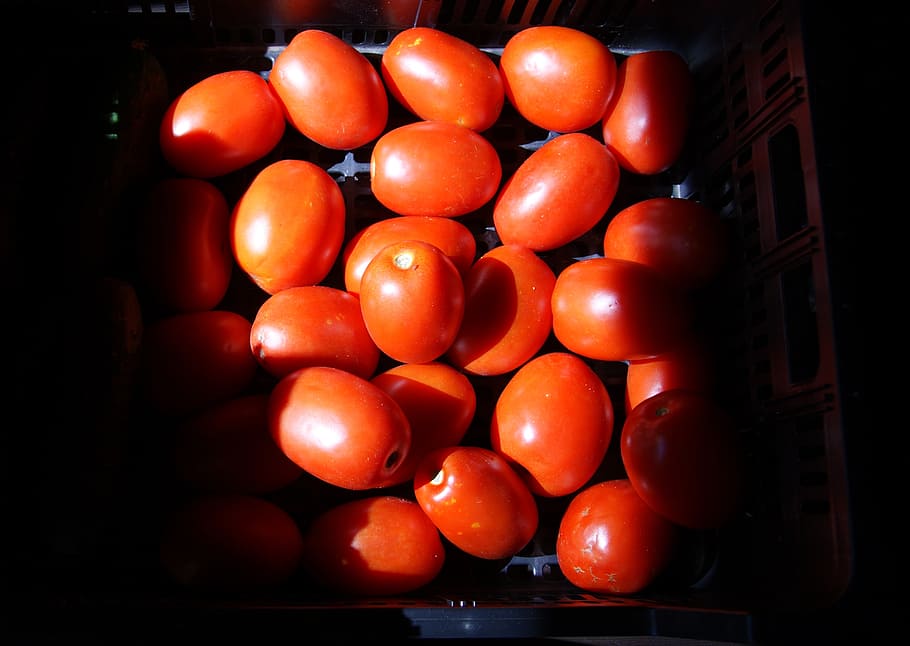 vegetables, tomato, light, healthy eating, food and drink, fruit HD wallpaper