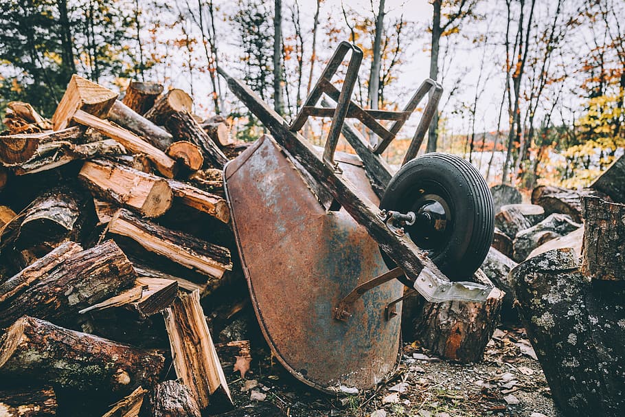 brown metal wheelbarrow leaning on firewood near forest, brown wheelbarrow on pile of log HD wallpaper