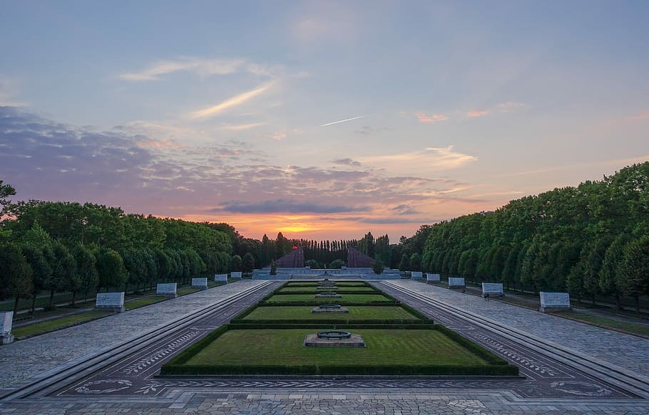 outdoor green leafy plants during daytime, park surrounded by trees HD wallpaper