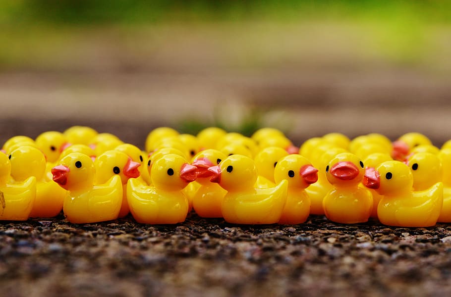 ducks, figures, group, cute, sweet, many, yellow, close-up HD wallpaper