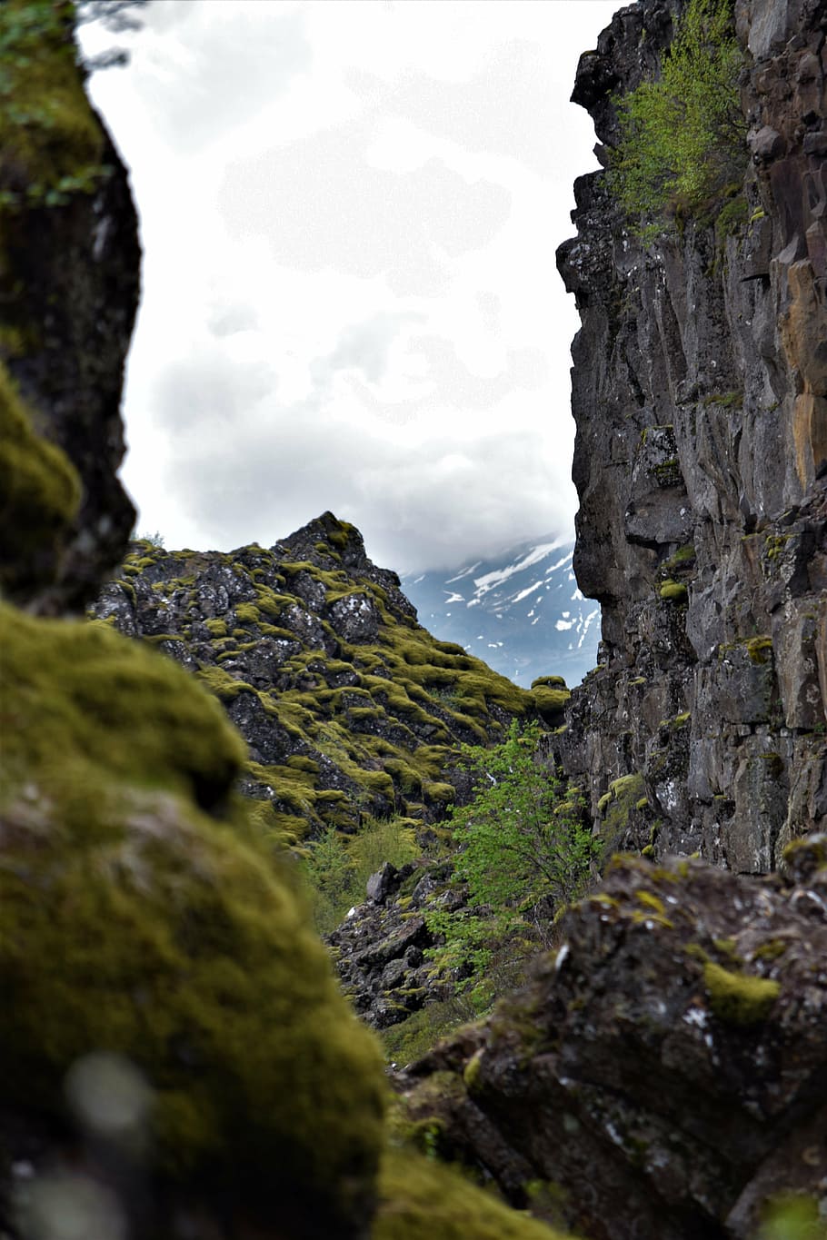 moss, moody, rock, distance, perspective, summit, peak, snow, HD wallpaper