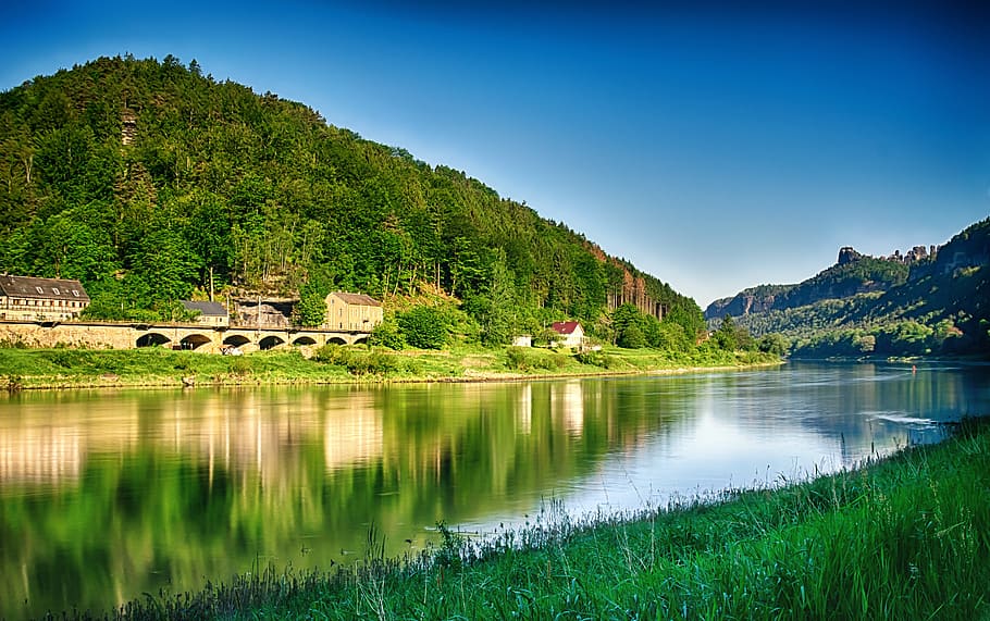 river beside forest mountain during daytime, River, Elbe, Water, HD wallpaper