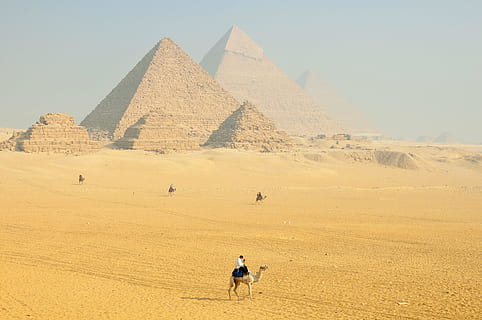 man riding camel on desert during daytime, sphinx, egypt, hieroglyphs HD wallpaper