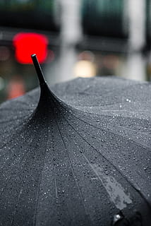 selective focus photography of black umbrella, tilt shift photography of a wet black umbrella HD wallpaper
