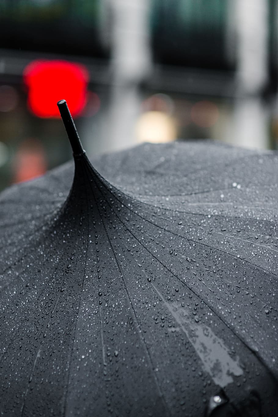selective focus photography of black umbrella, tilt shift photography of a wet black umbrella HD wallpaper