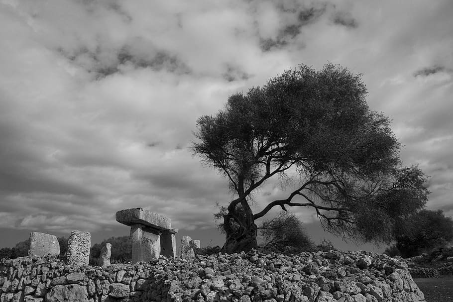 taula, minorca, prehistory, tree, remains, black and white