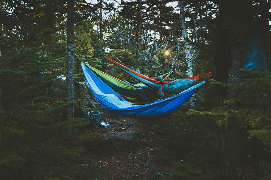 people in hammocks tied between trees, blue hammock tied on two trees during daytime HD wallpaper