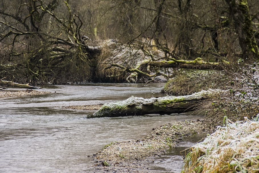 Amper, River, Bach, Forest, water running, leisure, nature HD wallpaper