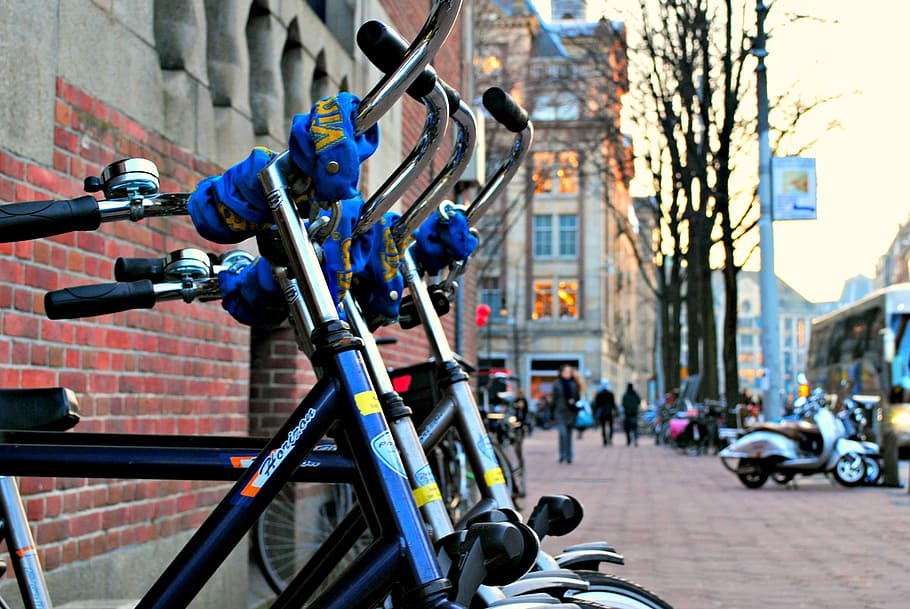 Amsterdam, Bikes, City, Netherlands, europe, holland, architecture, HD wallpaper