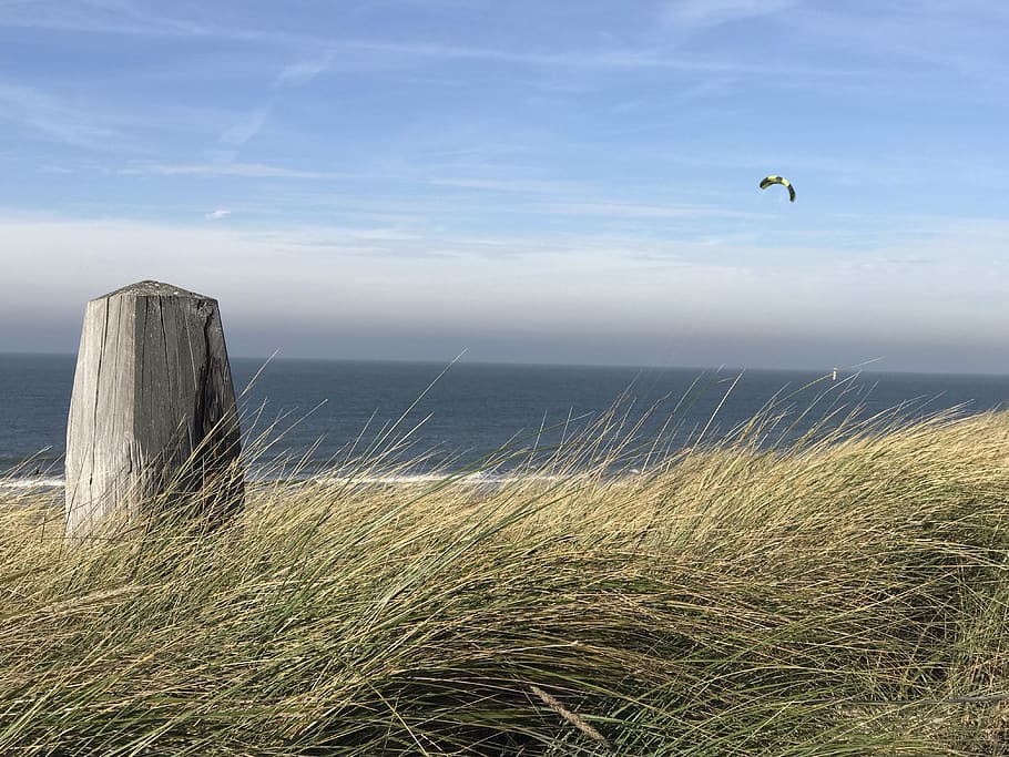 beach, sea, vacations, sky, water, land, grass, horizon over water HD wallpaper