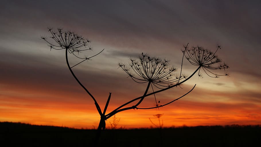 Nature, Landscape, Sunset, Twilight, sky, evening sky, sunset sky HD wallpaper