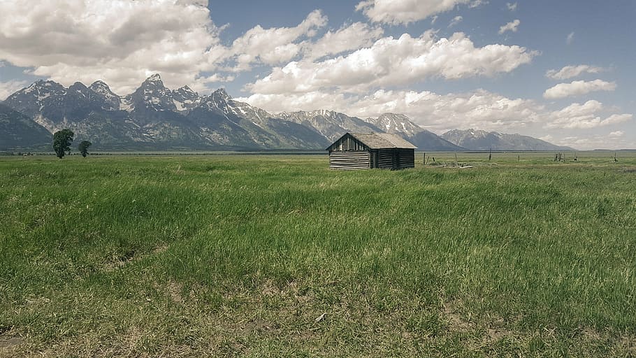 brown wooden shed on middle on grass field in front of mountain HD wallpaper