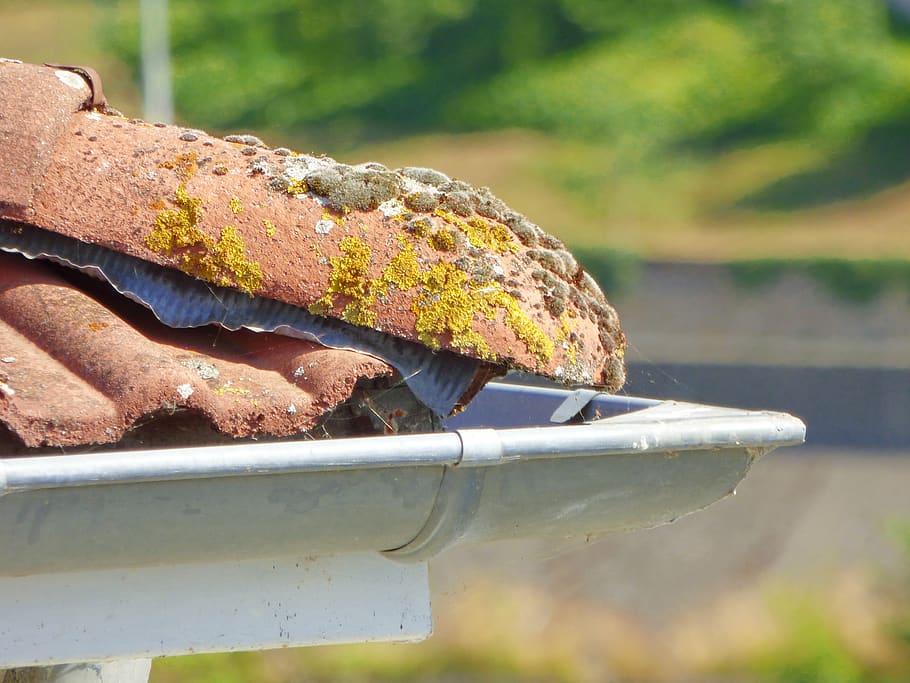 roofing, buildings, roofs, metal, rusty, close-up, day, no people HD wallpaper