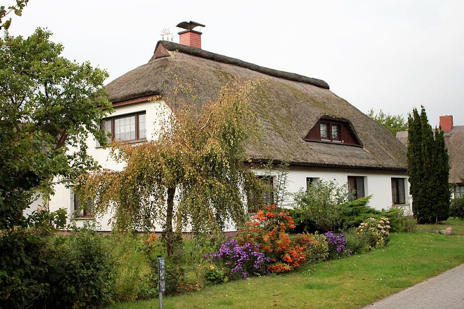 house, hiddensee, vitte, thatched roofs, architecture, built structure HD wallpaper