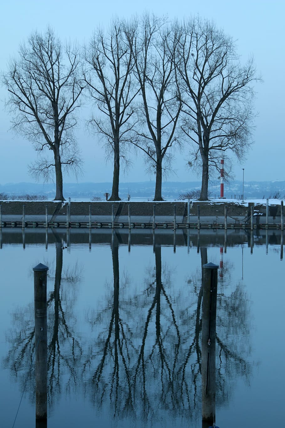 lake constance, bregenz, winter, port, cold nature, evening HD wallpaper