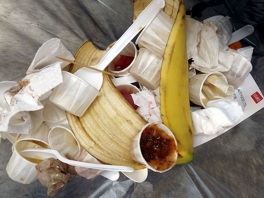 close-up photo of white disposable cup lot, Garbage Can, Dustbin HD wallpaper