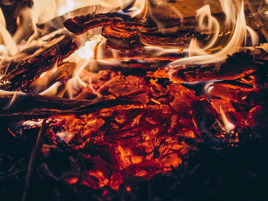 shallow focus photography of burning firewood, camp, campfire, HD wallpaper