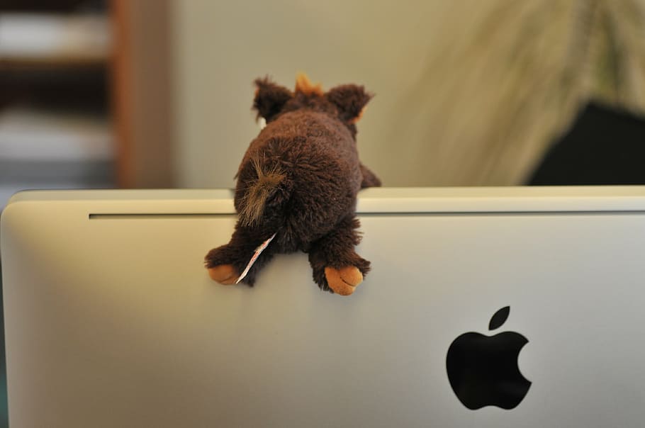 screen, apple, logo, mac, stuffed animal, imac, office, soft toy HD wallpaper