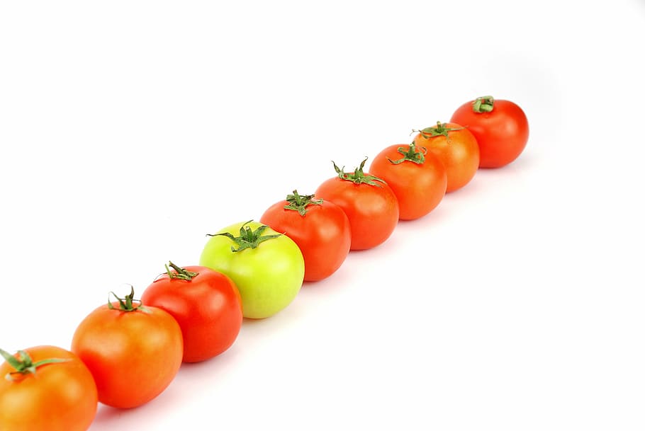 que, tomato, food, vegetable, green, red, white background HD wallpaper