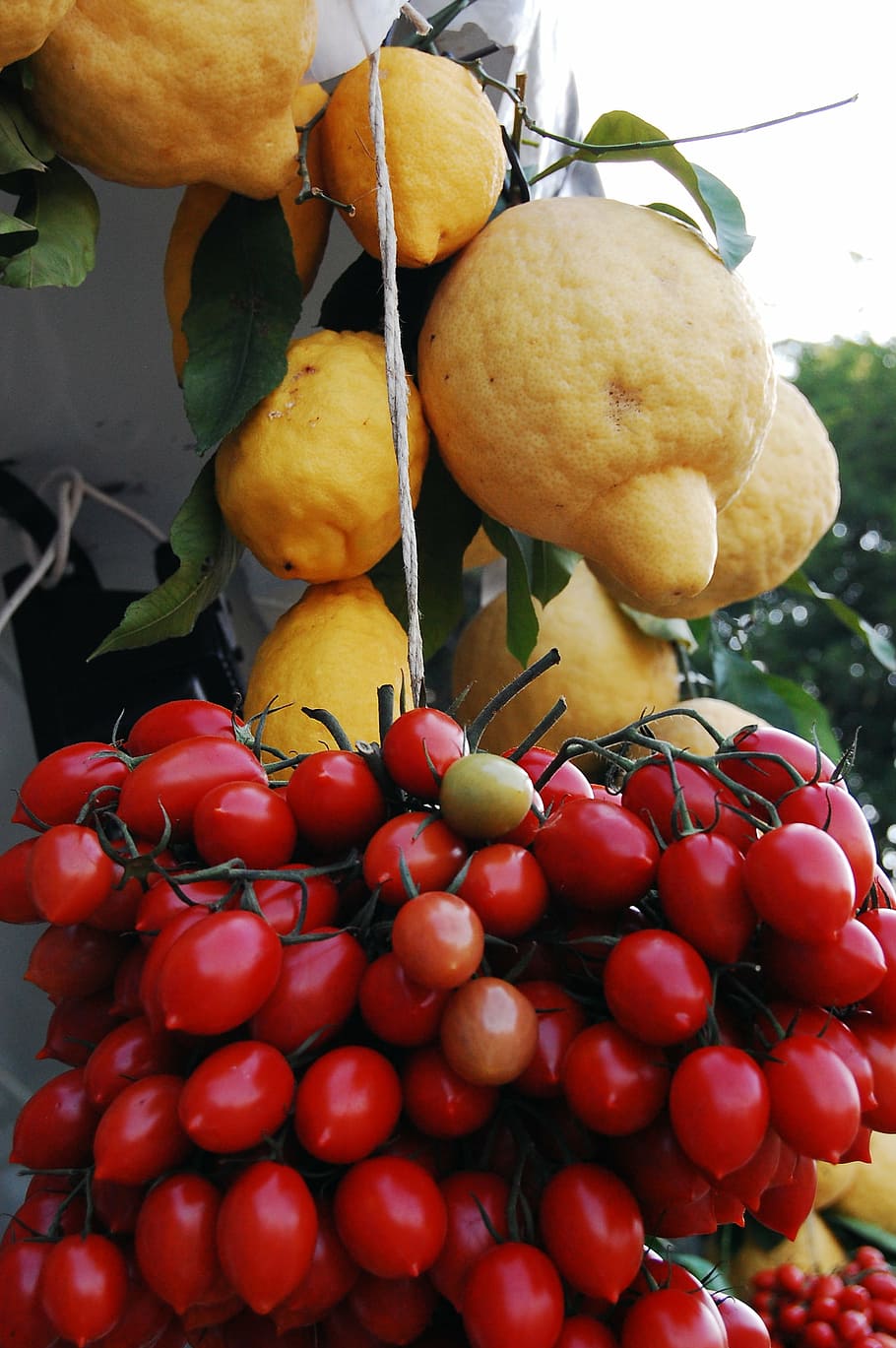 lemons, fruit, organic, tomatoes, food, freshness, ripe, nature HD wallpaper