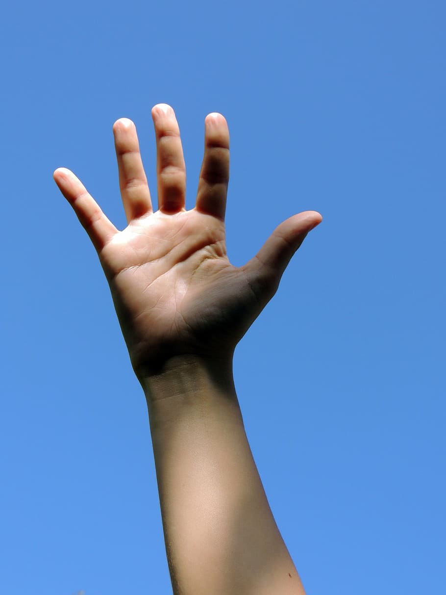 person's right hand, body, human, human Hand, people, gesturing HD wallpaper