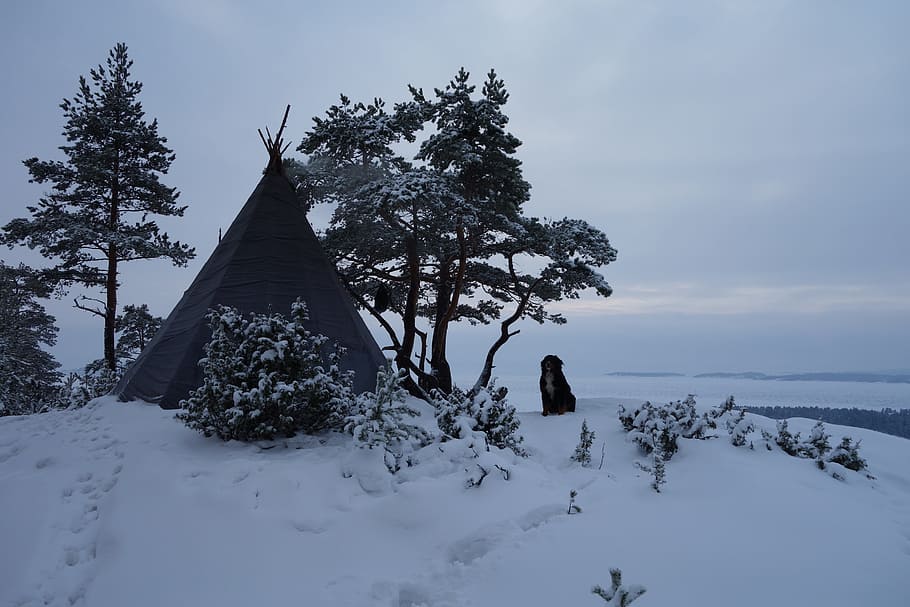 winter, tourism, tipi, needle, wigwam, yaranga, ladoga, have honkasalo HD wallpaper