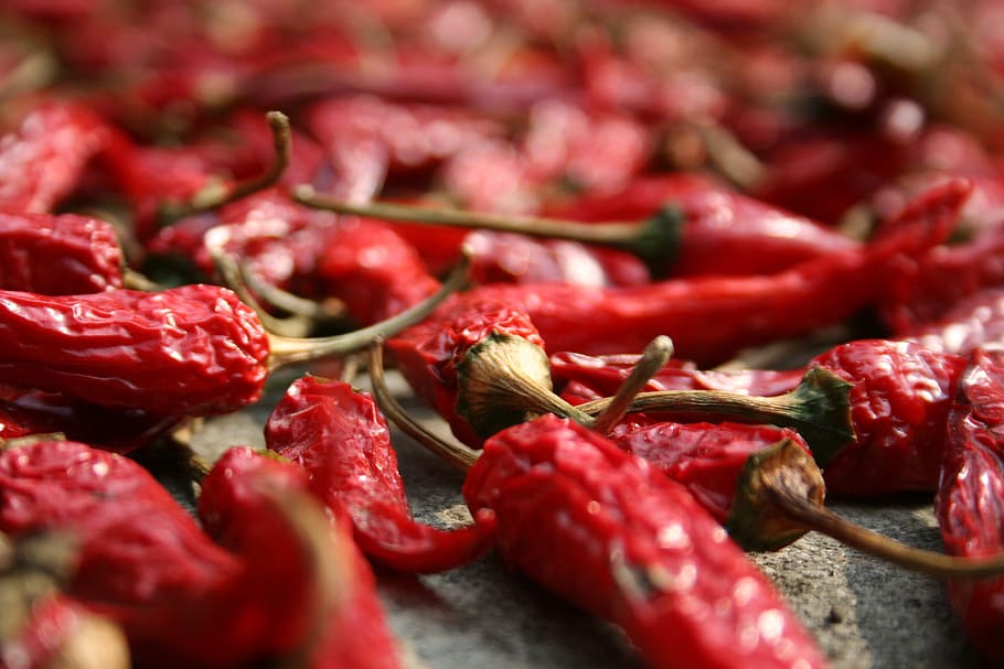 focus photography of dried chili peppers, red, edible, food, fruits