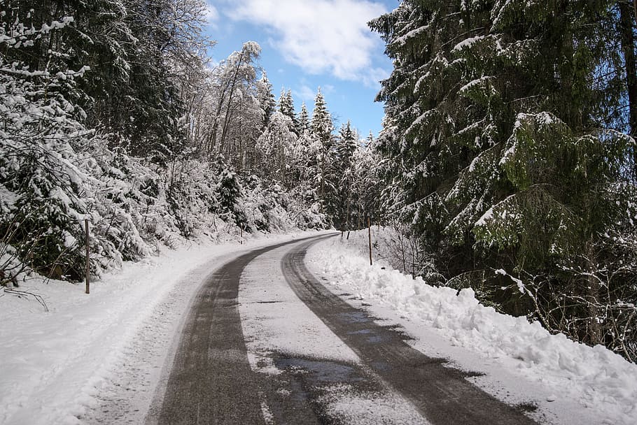 road covered by snow, corner, way, asphalt, street, path, trees HD wallpaper