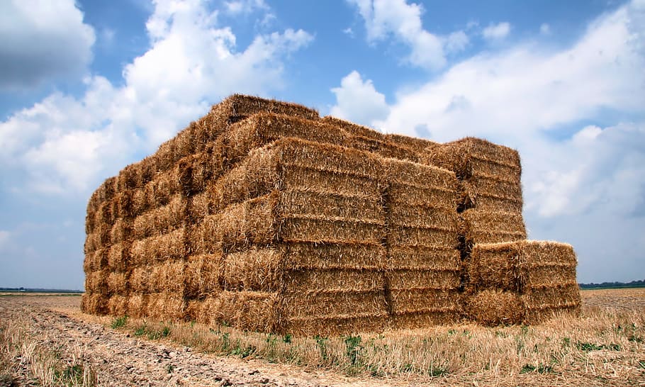 Indiana, Straw, Bales, Farm, Field, agriculture, sky, clouds, HD wallpaper