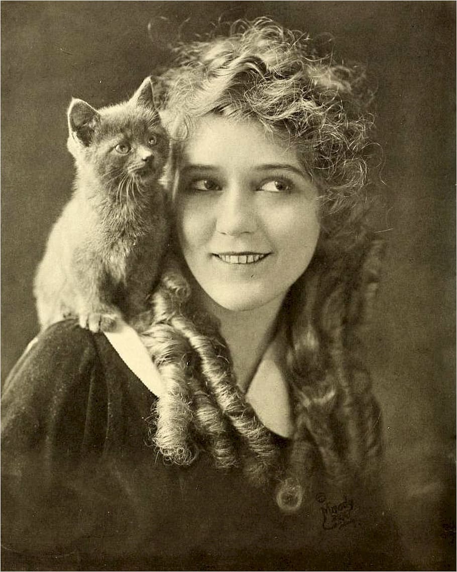 grayscale photography of cat on woman shoulder illustration, mary pickford