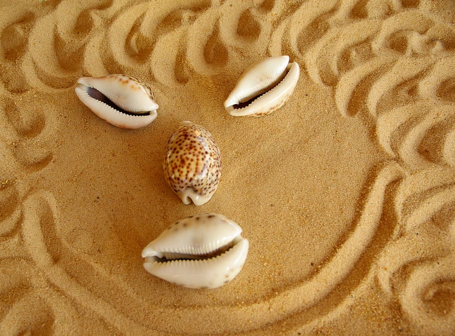 Face, Shells, Sand, no people, indoors, close-up, sweet food HD wallpaper