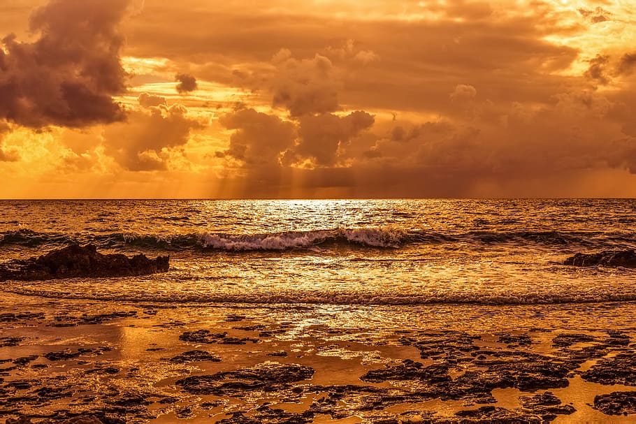 ocean view during golden hour, sea, seashore, beach, panoramic HD wallpaper