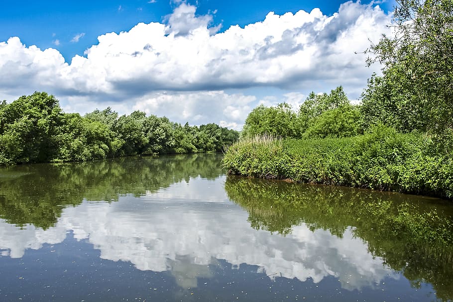 Landscape, Pond, Nature, reflection, cloud - sky, tree, water HD wallpaper