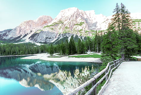 snow, landscape, mountains, nature, alpine, conifers, daylight HD wallpaper