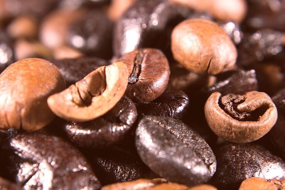 coffee, beans, coffee beans, roasting, macro, close, coffee roasting HD wallpaper