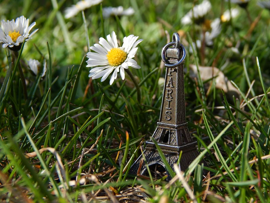 Daisies, Spring, Grass, Tower, Green, yellow, white, bronze HD wallpaper