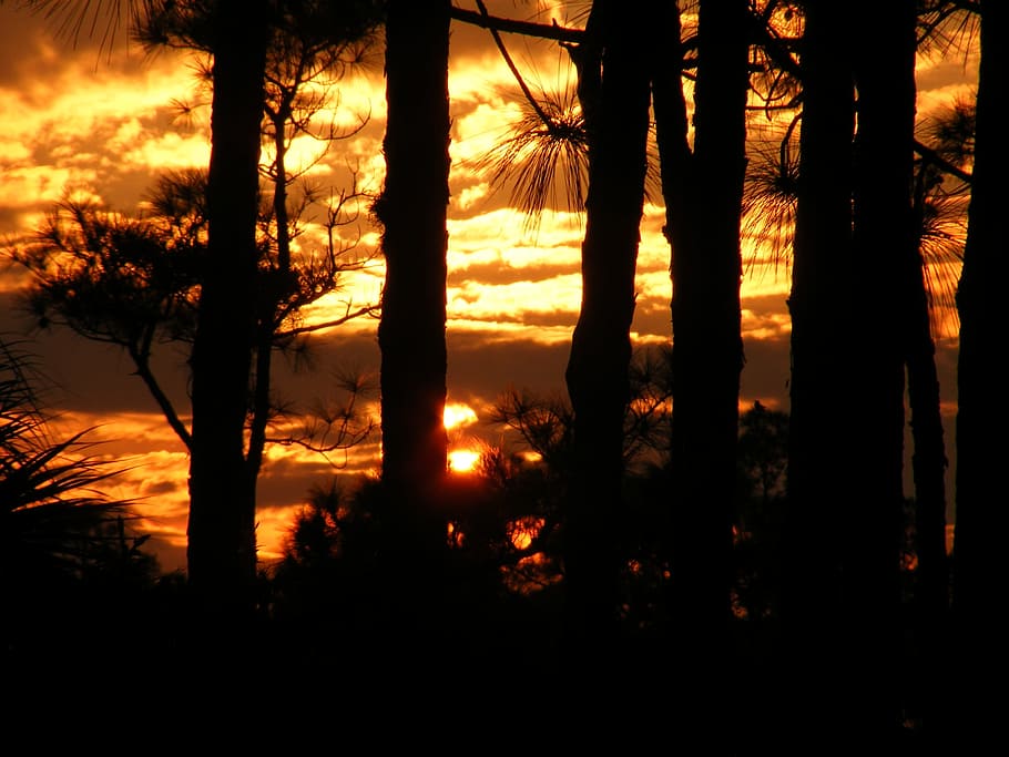 Florida, Sunset, Clouds, sky, silhouettes, nature, outside HD wallpaper
