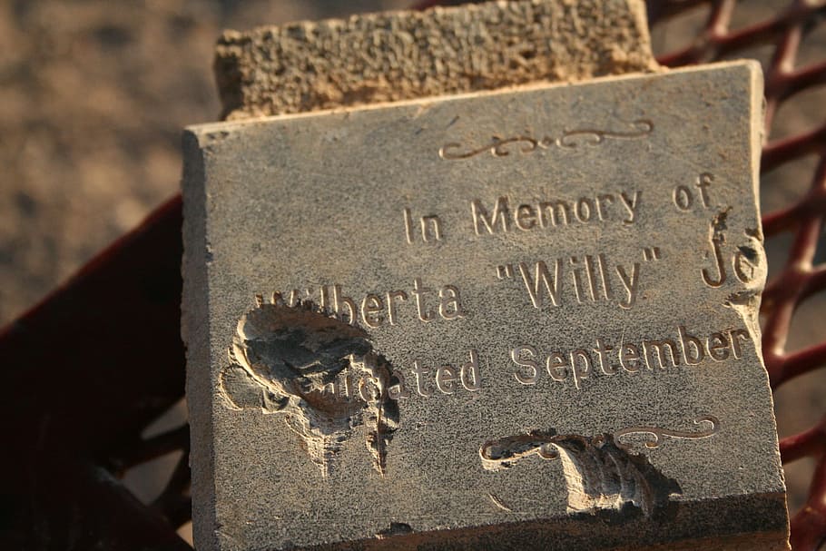 Cracked, Plate, Plaque, park, in memory of, old, broken, damaged HD wallpaper