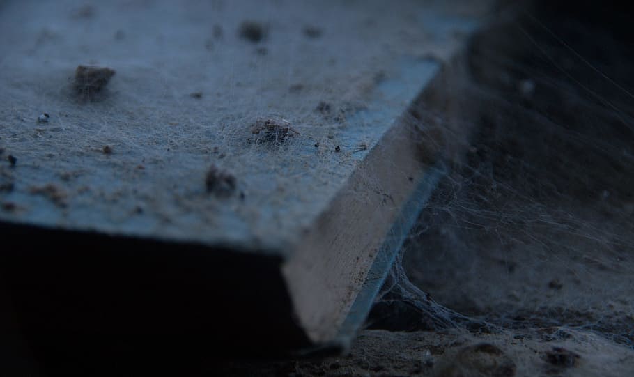 book, dusty, forget, old, decay, age ham, unread, literature HD wallpaper